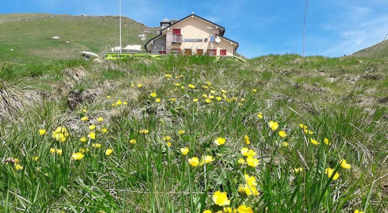 Residenza Letizia Apartment Nemeggio Luaran gambar
